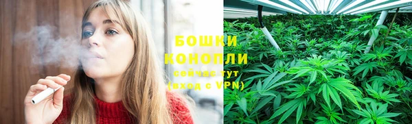 СК Белокуриха